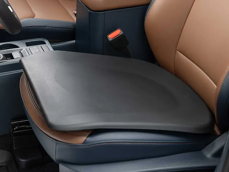 Car Cushion